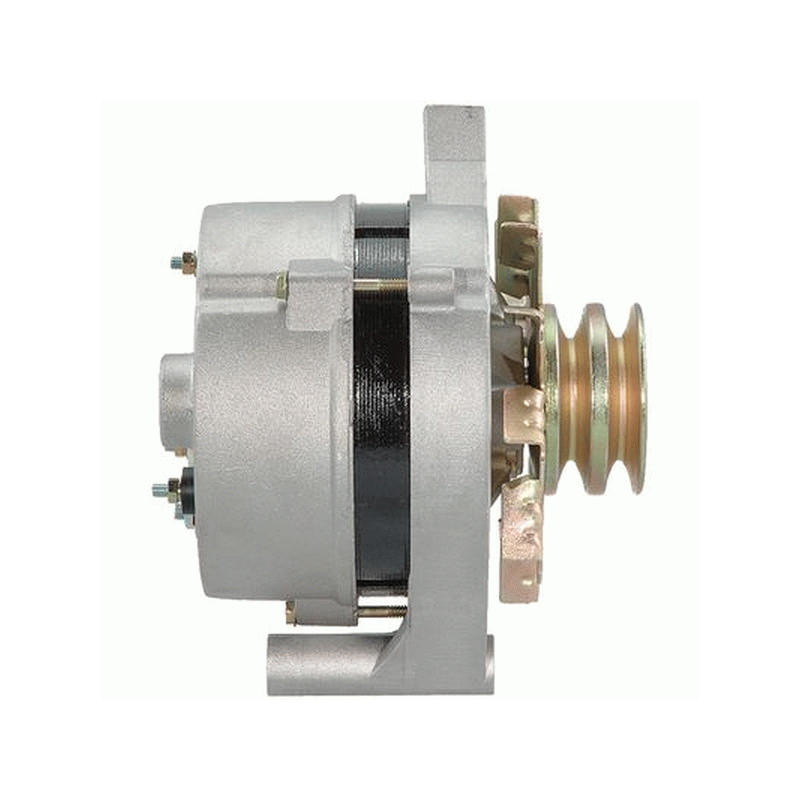 Alternador Ford 1G 65A Polea Doble 7078 (Reconstruido)
