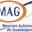 Mayoreo Automotriz GDL logo